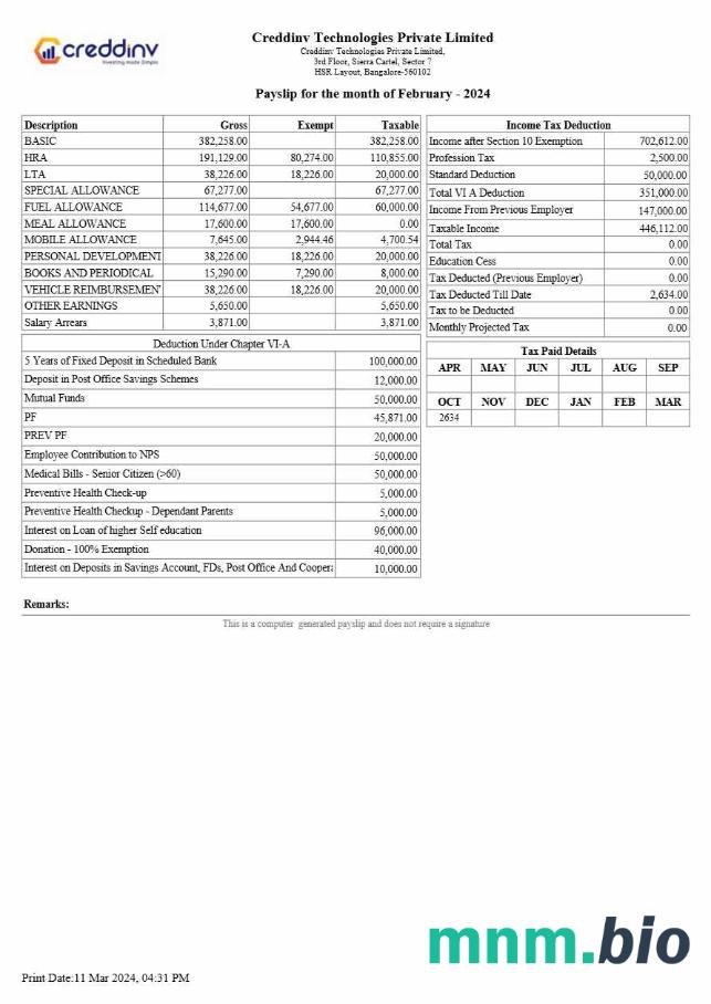 Szablon odcinka wypłaty Creddinv Technologies w formatach Word i PDF, 2